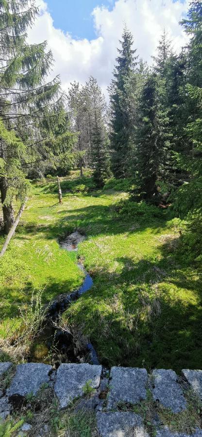Apartmany Na Ceste Desná Kültér fotó
